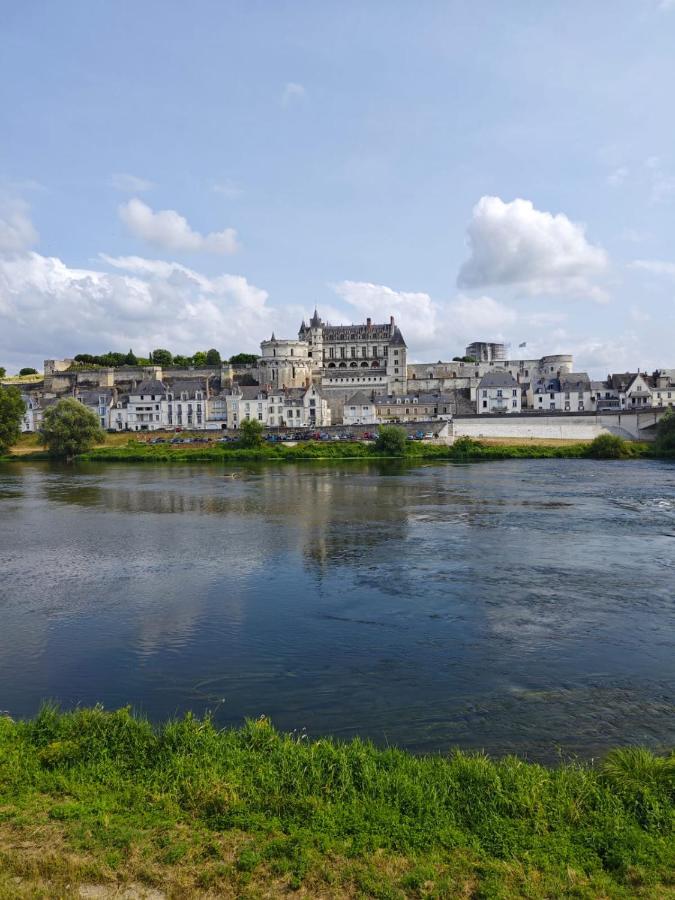 Le Nid De L'Ile Villa Amboise Bagian luar foto